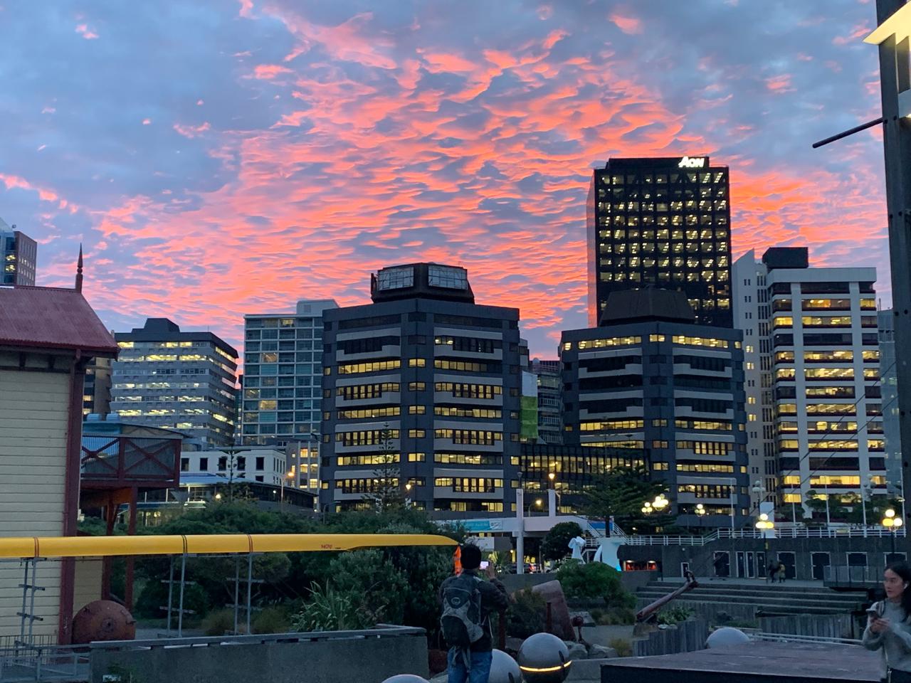 Commercial office buildings and urban streetscape in Wellington, New Zealand