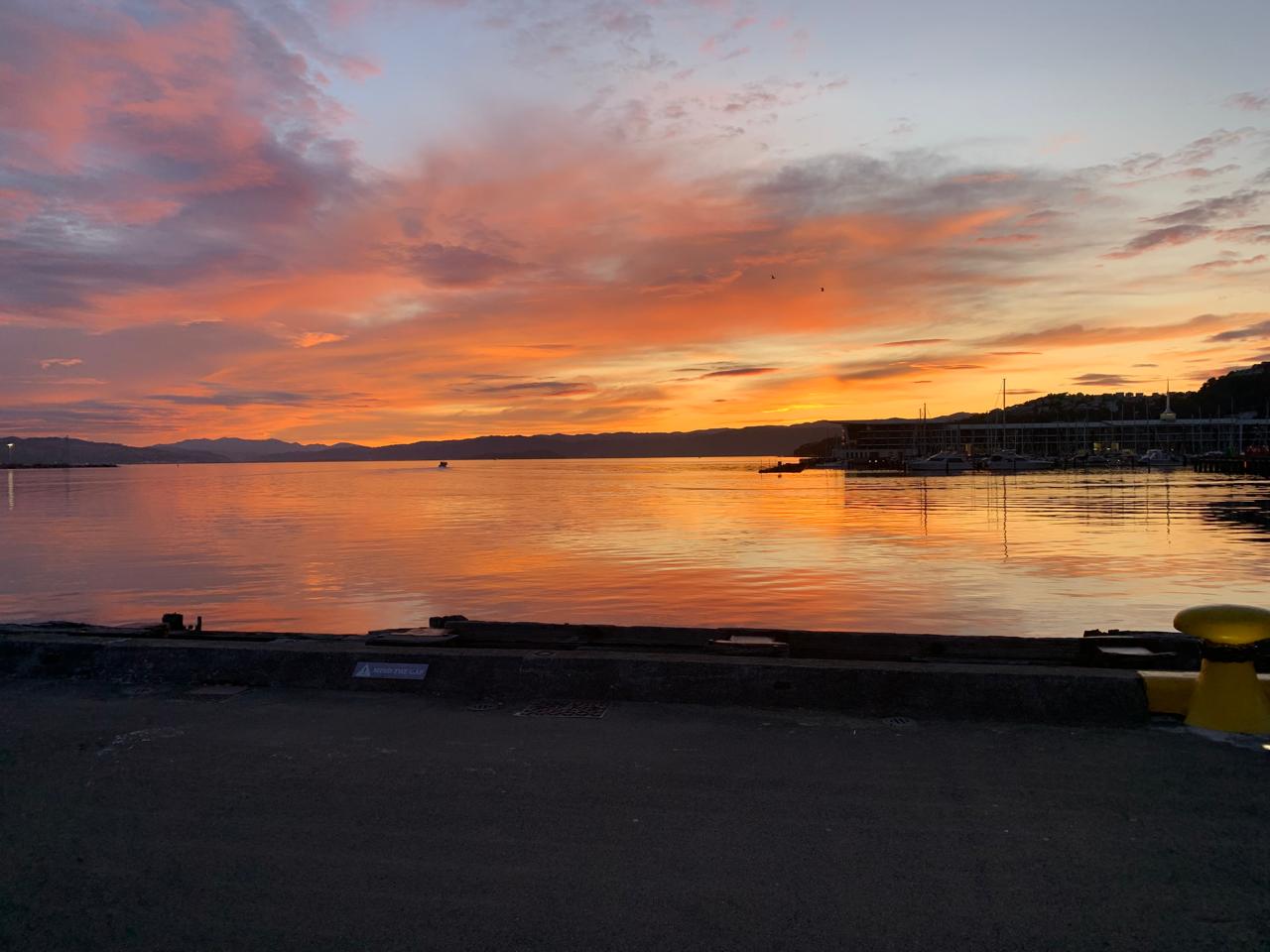 Wellington waterfront and city at sunset